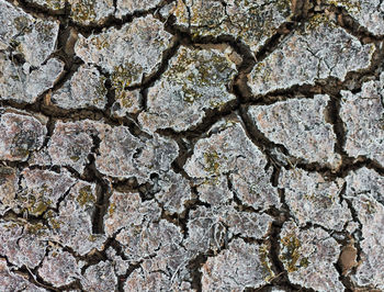 Full frame shot of cracked wall