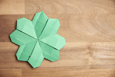 High angle view of green leaf on wooden table