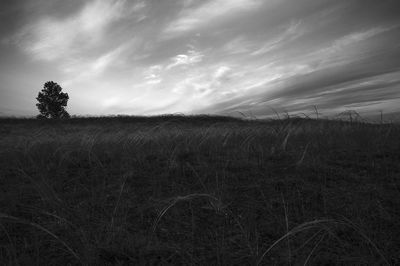 View of fields against cloudy sky