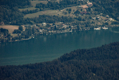 High angle view of trees on landscape