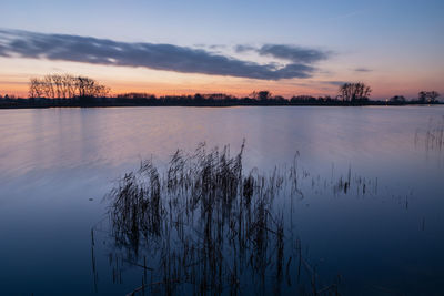 Lake and sky view after sunset, long exposure and blurry reeds by the wind