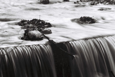 Close-up of insect on beach