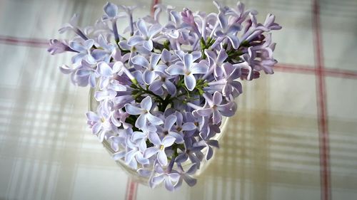 Close-up of white flowers in vase on table