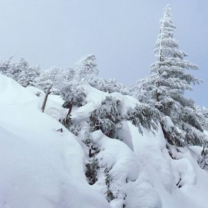 Scenic view of snow covered field