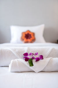Close-up of purple flowers on bed