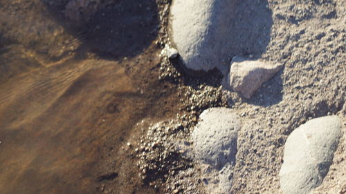 Close-up of water in sand