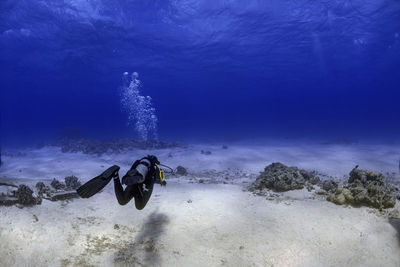 Person swimming in sea