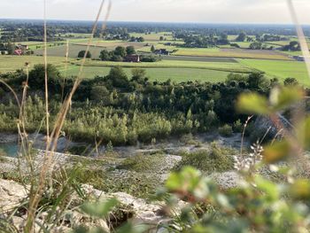 Scenic view of agricultural field