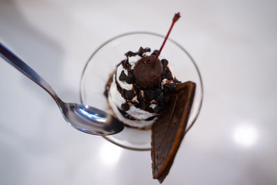 Close-up of crab on ice cream