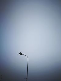 Low angle view of bird perching on street light against clear sky