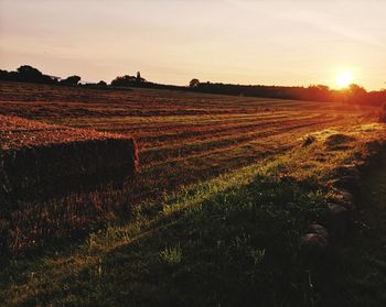Scenic view of field against sky during sunset