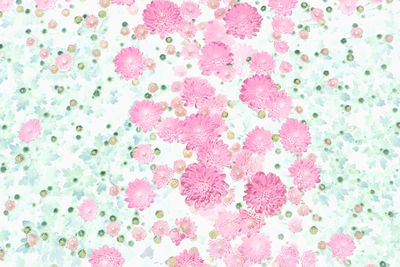 Full frame shot of pink flowering plant