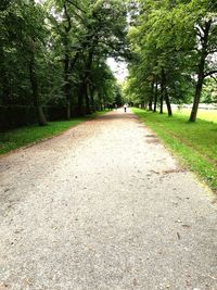 Road amidst trees