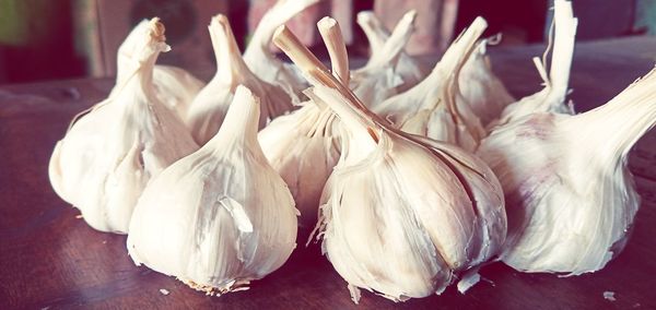 Close-up of white garlic on table