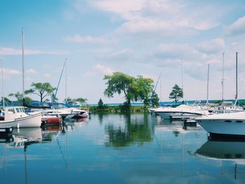 Boats moored in harbor