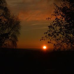 Silhouette of trees at sunset