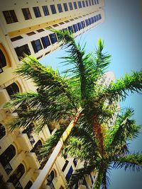Low angle view of building against sky