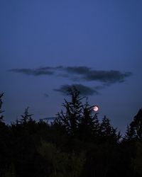 Low angle view of silhouette trees against sky at night