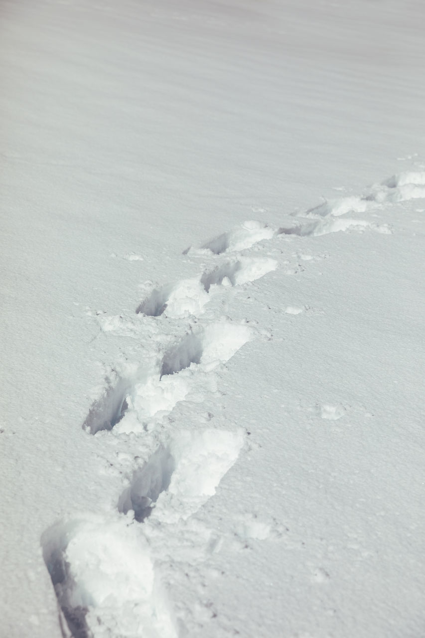 HIGH ANGLE VIEW OF SNOW ON FIELD