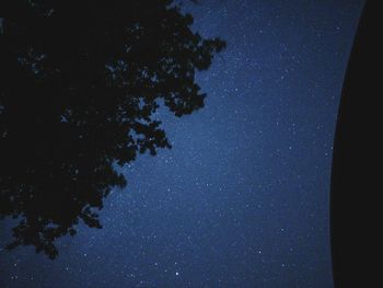 Low angle view of tree against sky at night