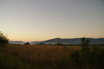 Scenic view of field against clear sky at sunset