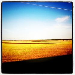 Scenic view of landscape against blue sky