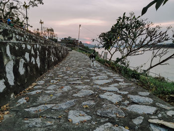 Scenic view of river against sky