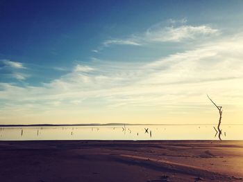 Scenic view of beach against sky during sunset