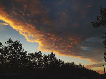 Low angle view of silhouette trees against dramatic sky