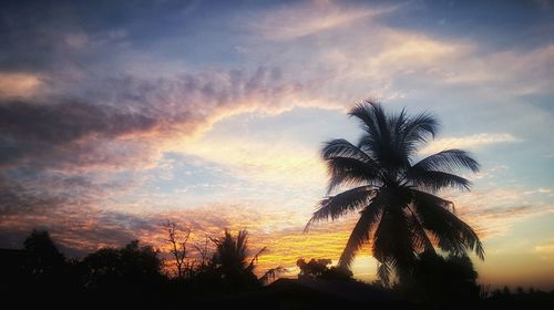 Low angle view of silhouette palm trees against sky