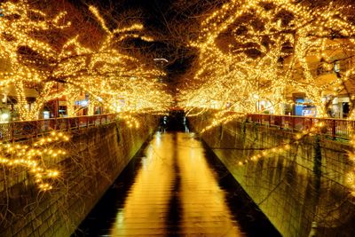 Illuminated christmas tree against sky at night