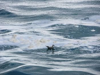 High angle view of man in sea