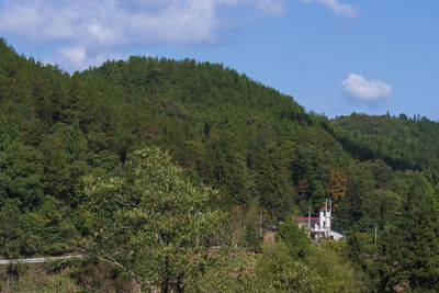 Scenic view of forest against sky