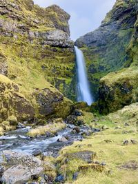 Scenic view of waterfall in forest