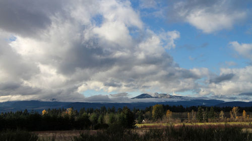 Scenic view of landscape against cloudy sky