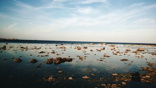water