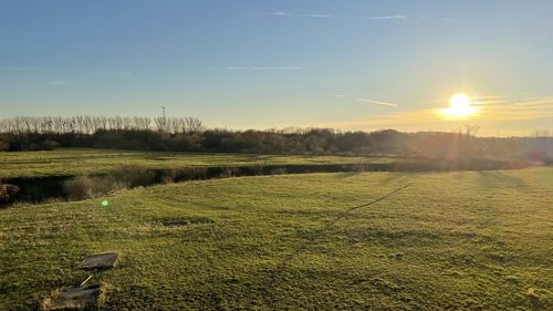 Scenic view of field against sky