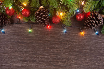 Illuminated christmas tree at night