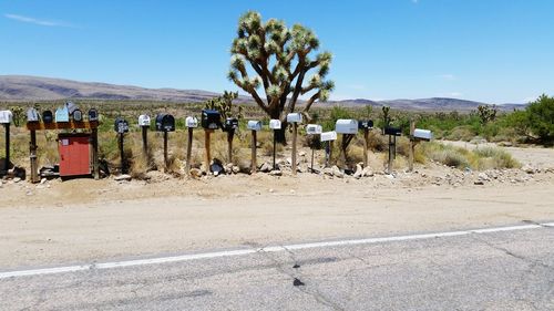 Mailboxes in row on countryside landscape