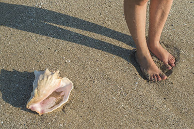 Low section of person standing on beach