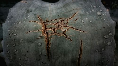 Close-up of weathered wall