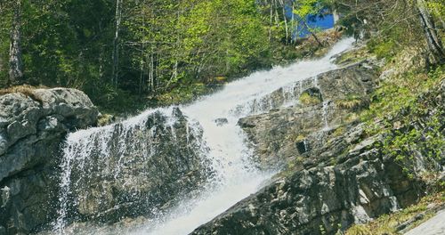 Scenic view of waterfall in forest