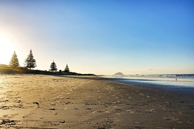 Scenic view of beach against clear sky