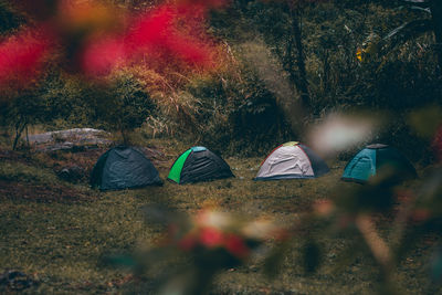 High angle view of tent on field in forest