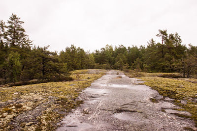 Dirt road amidst trees in forest against sky