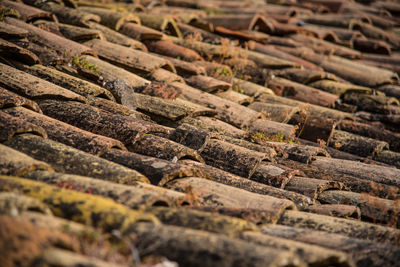 Full frame shot of terracotta roof