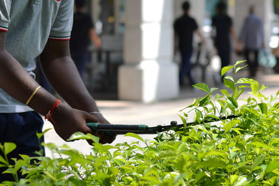 Midsection of man cutting plants in city