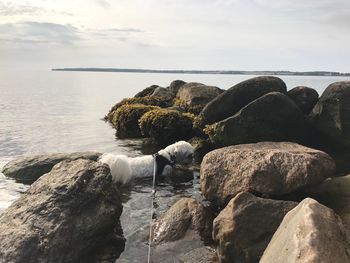 Rocks in sea against sky