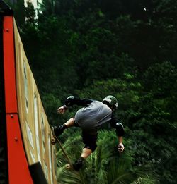 Rear view of woman standing on tree trunk