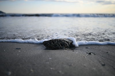 Close-up of stone on beach